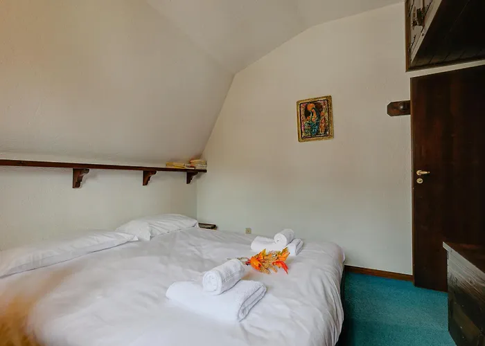 Il Cardo - Happy Oulx