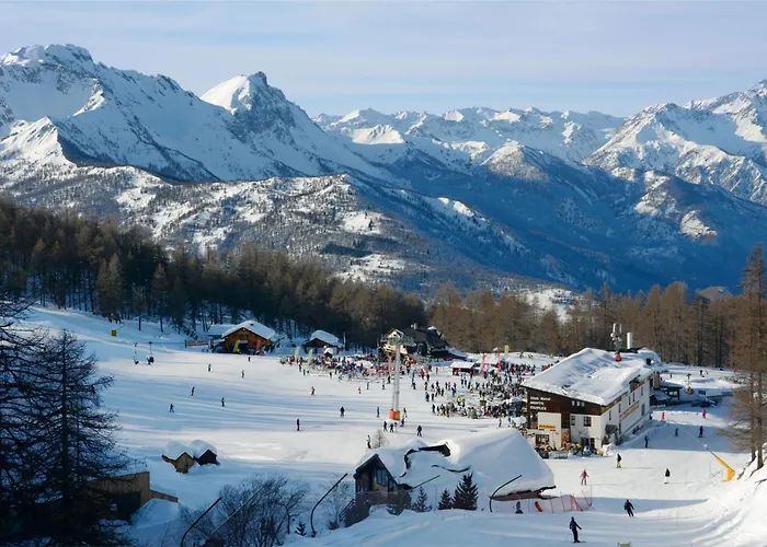 Il Cardo - Happy * Oulx